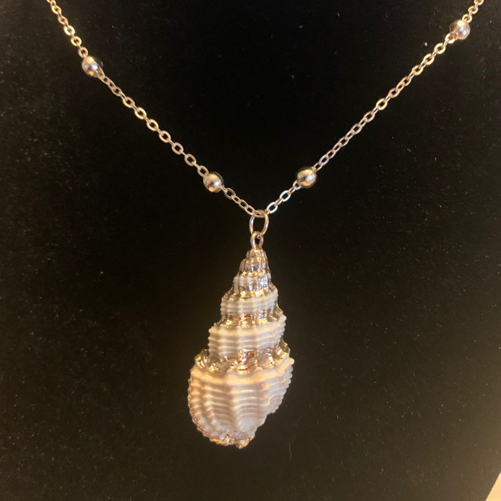 14k Gold Dipped Beach Conch Shell - Picture 2 of 3
